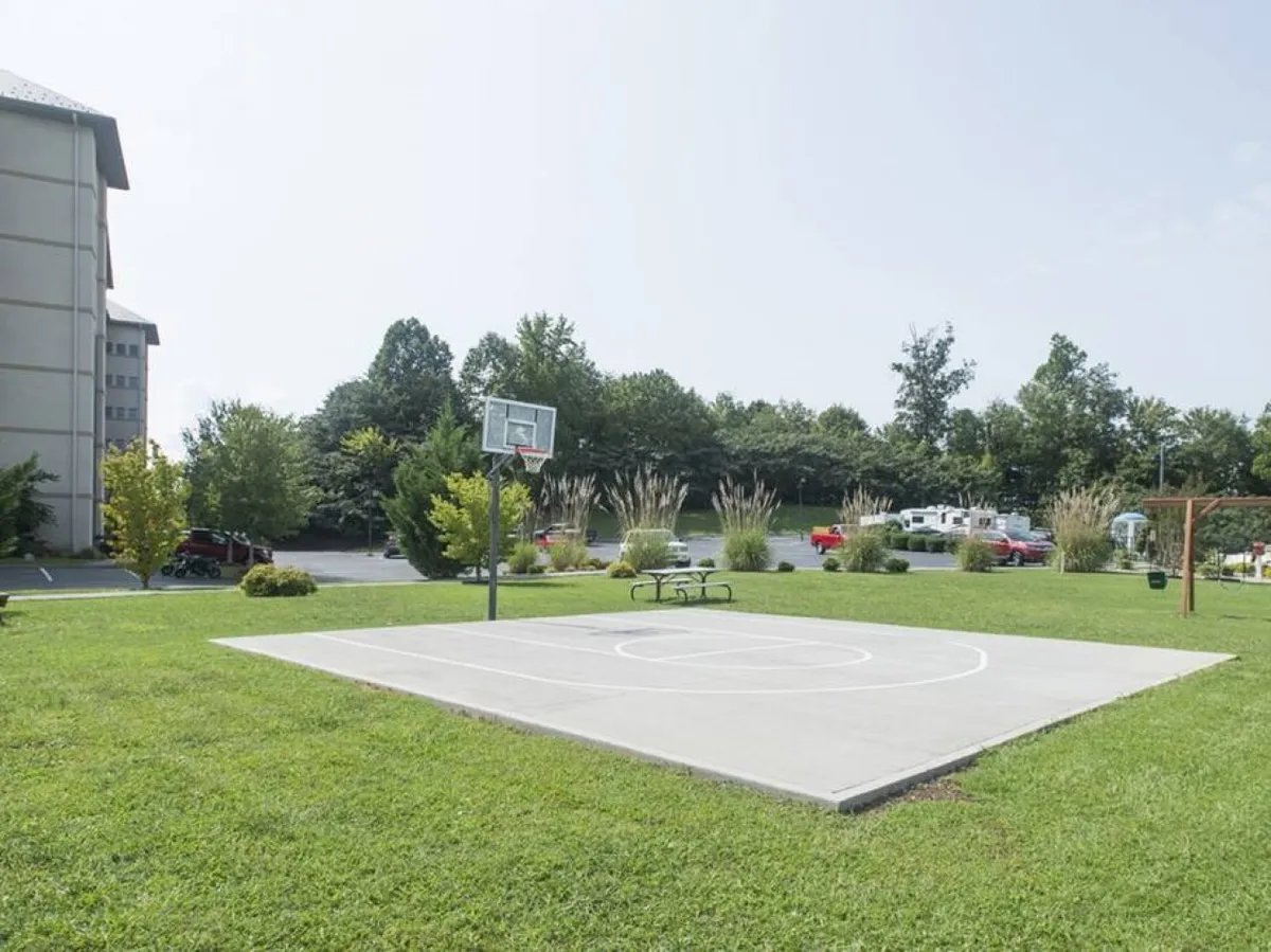This exterior view shows a basketball hoop over a concrete court with a picnic table set against green grass, promoting both athletic activities and family picnics under the sun. The mood is energetic and social, fitting for multi-generational fun.